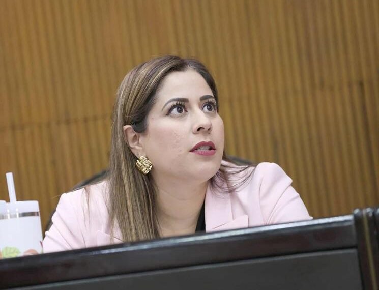 Busca Congreso NL modelo propio para el Poder Judicial