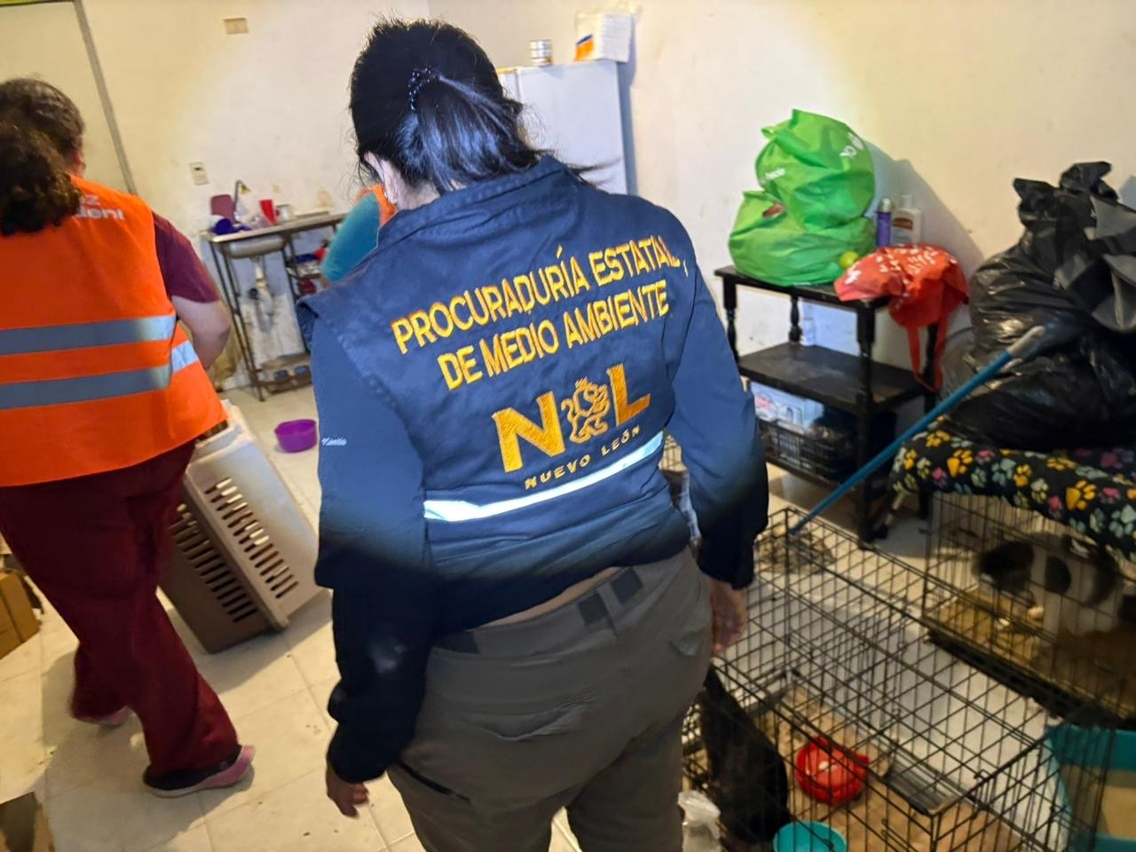 7e86f35b-8439-4b3e-8377-ae90274b8cd2