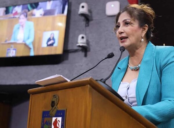 Piden reforzar fumigación contra dengue en NL