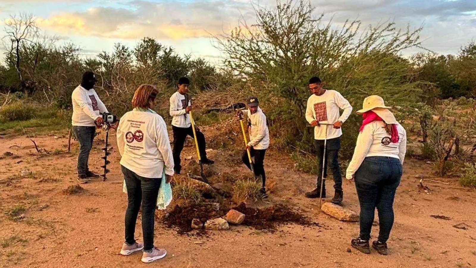 Plecas e informacion