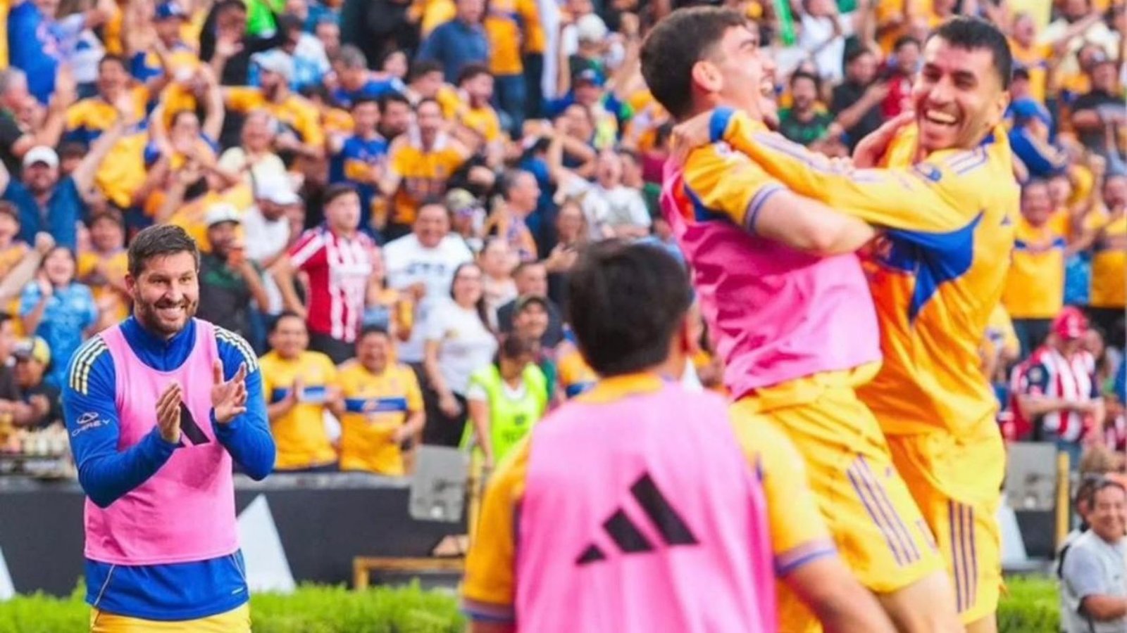 Gignac se acerca al adiós en Tigres y crece la nostalgia entre la afición