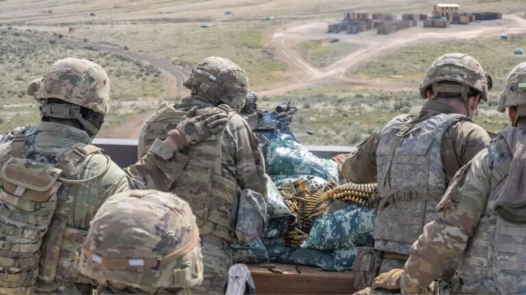 Plecas e informacion (1)