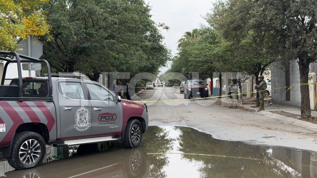 Plecas e informacion