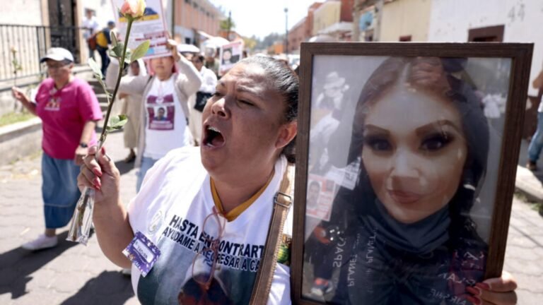 Plecas e informacion (13)