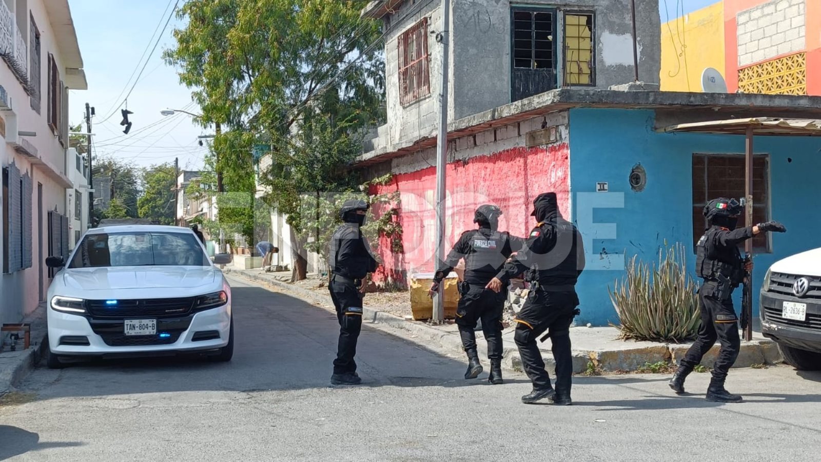 Plecas e informacion (15)