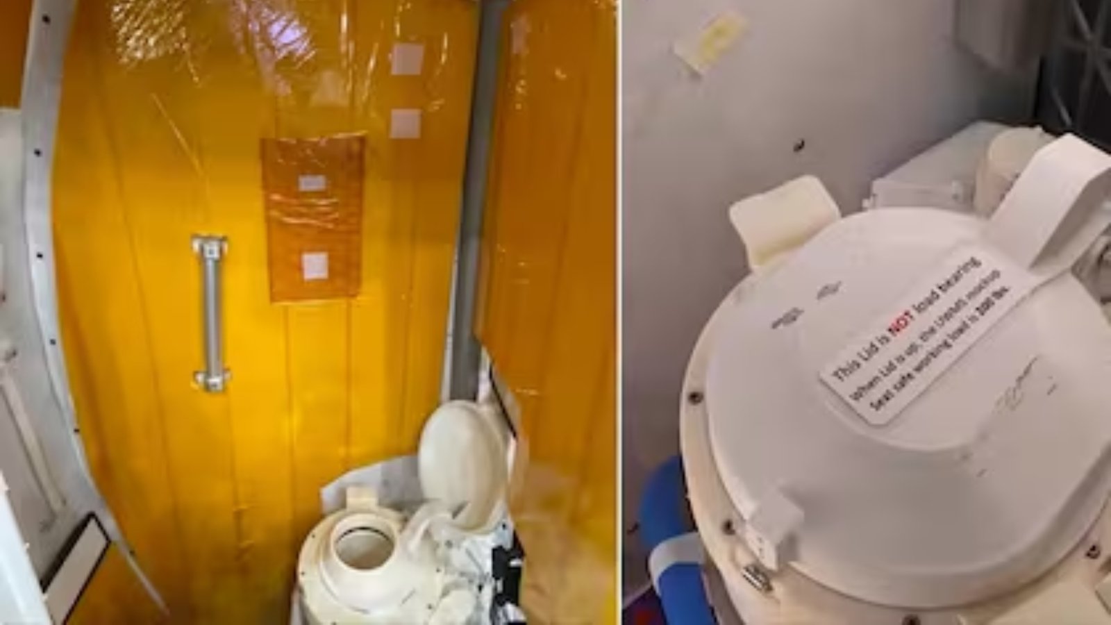 Plecas e informacion (2)