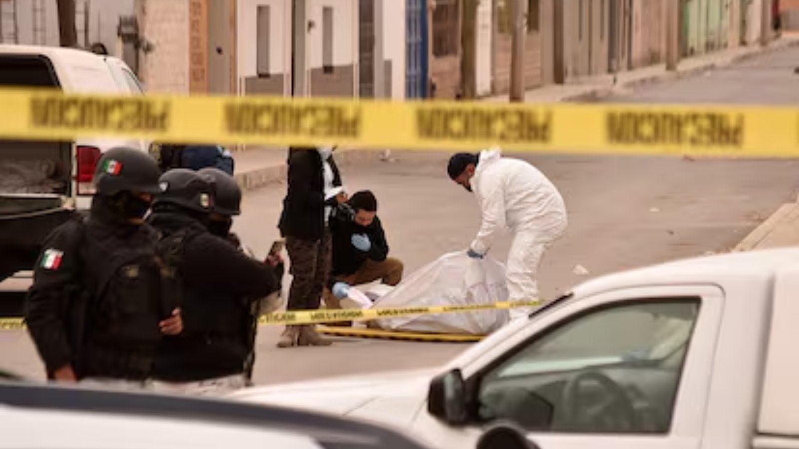 Plecas e informacion - 2026-04-03T101952.658