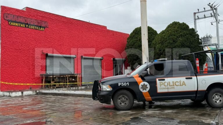 Plecas e informacion - 2026-04-05T145104.368