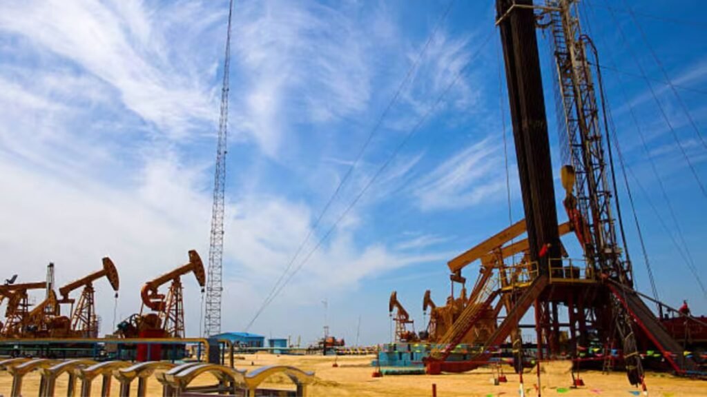 Plecas e informacion - 2026-04-05T151943.320