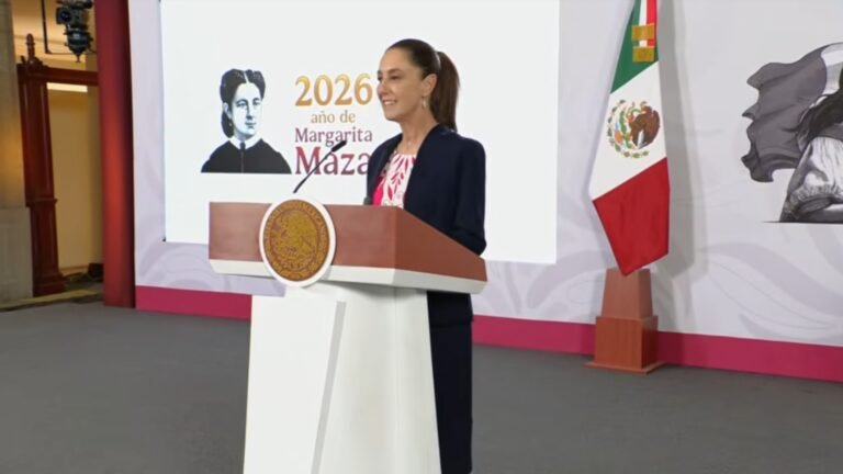 Plecas e informacion - 2026-04-06T100514.108