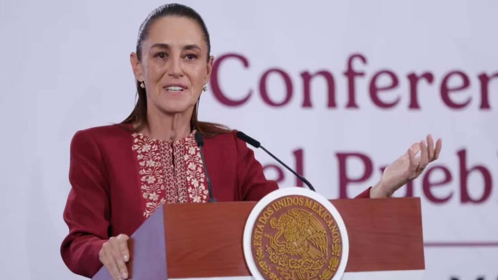 Plecas e informacion - 2026-04-07T104259.142