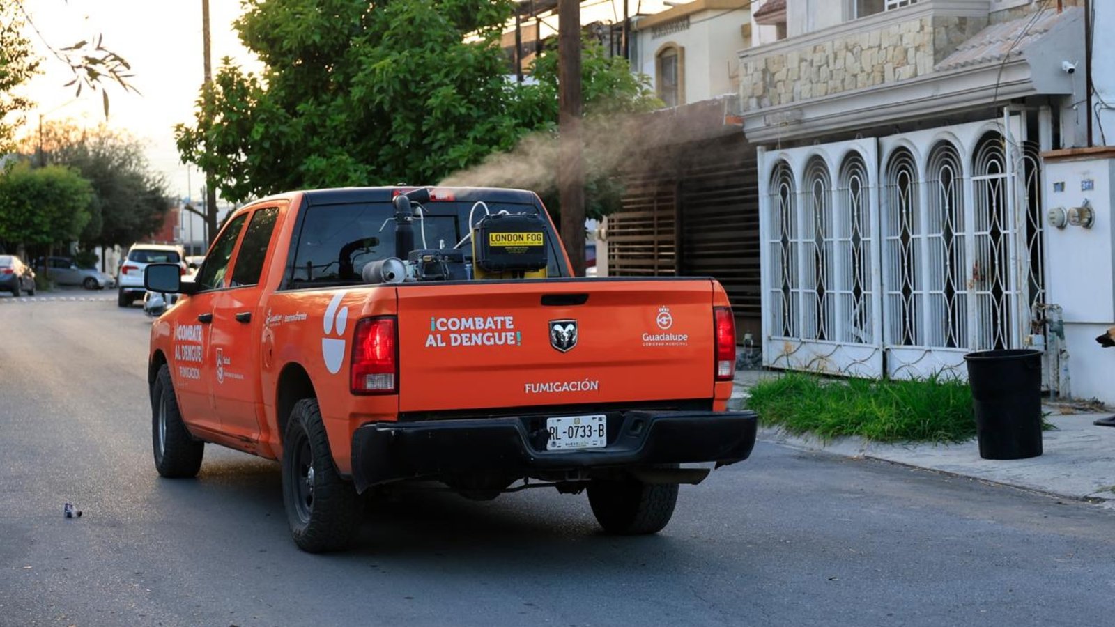 Plecas e informacion - 2026-04-07T113508.198