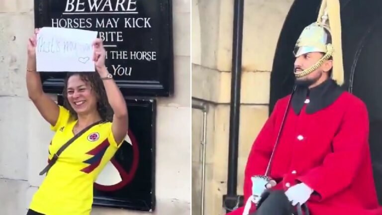 Plecas e informacion - 2026-04-09T105431.915