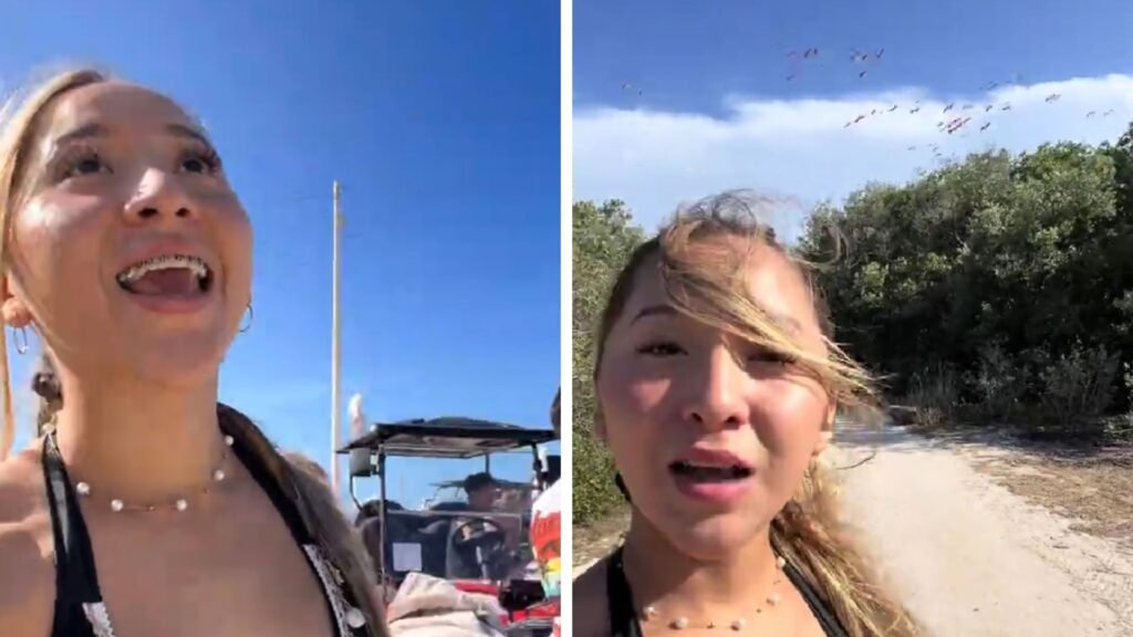 Plecas e informacion - 2026-04-09T124742.993