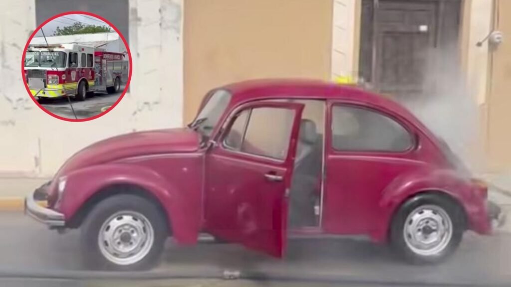 Plecas e informacion - 2026-04-10T111317.917