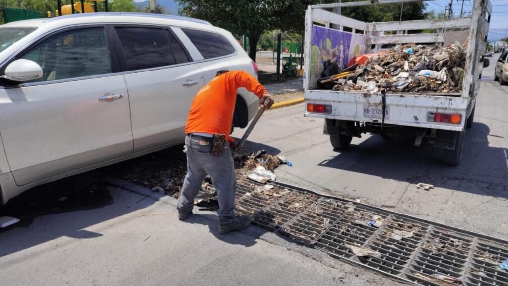 Plecas e informacion - 2026-04-10T111832.009