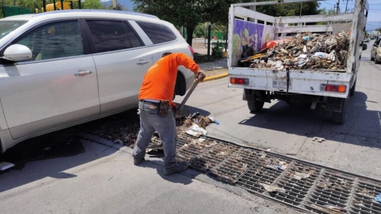 Plecas e informacion - 2026-04-10T111832.009