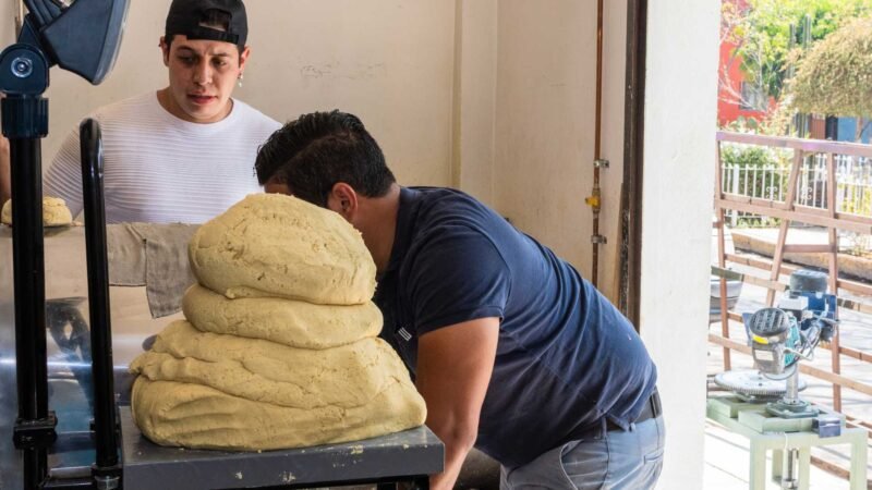 Buscan mejorar calidad de la tortilla con certificación