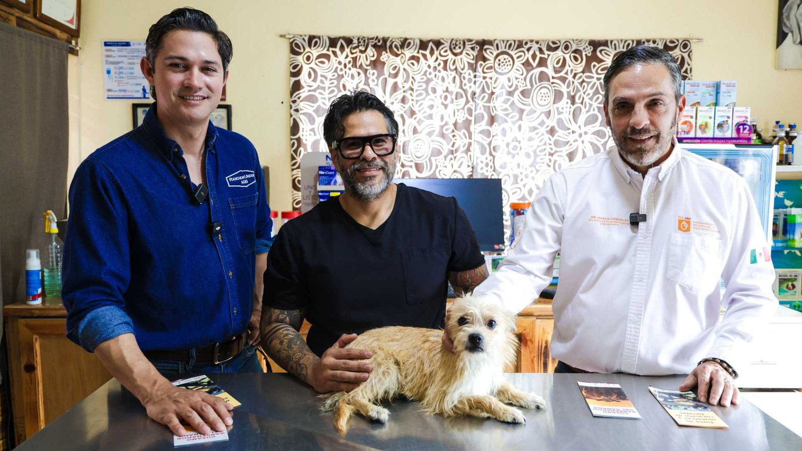 Activa NL campaña contra gusano barrenador en mascotas