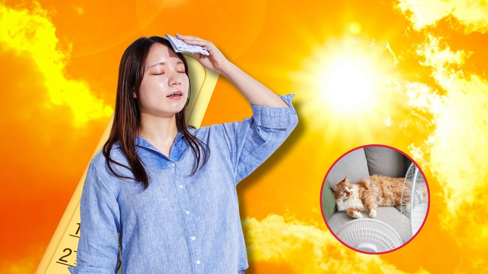 ¡Alerta por calor! Tips clave para protegerte a ti y a tus mascotas