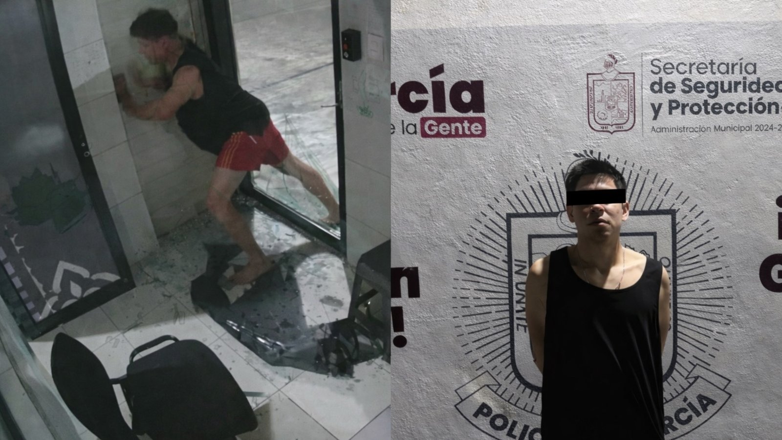 Plecas e informacion (5)