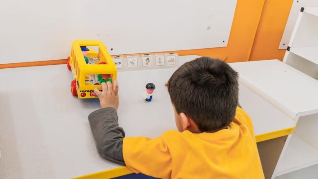 Plecas e informacion (6)