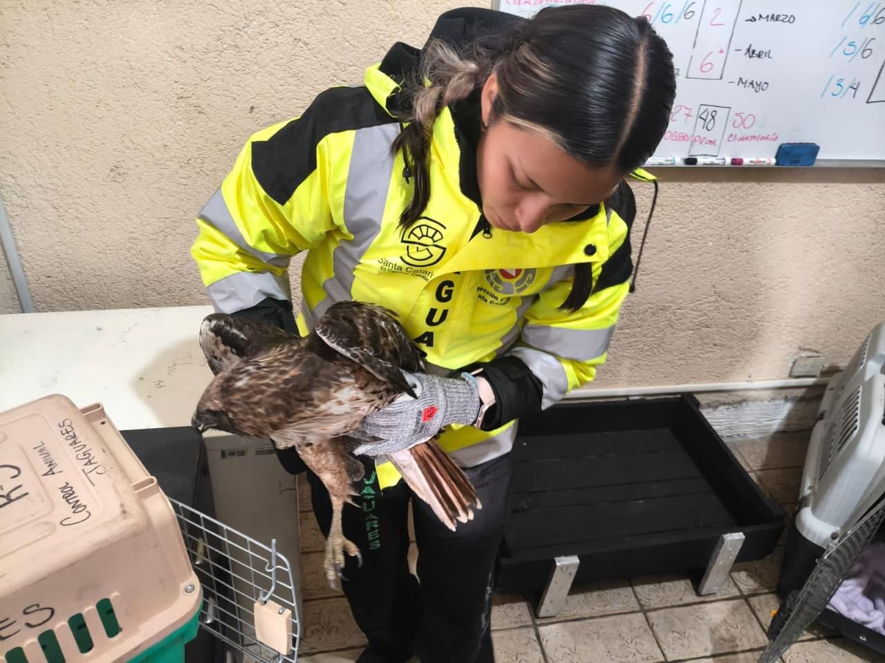 WhatsApp Image 2026-04-08 at 3.12.07 PM