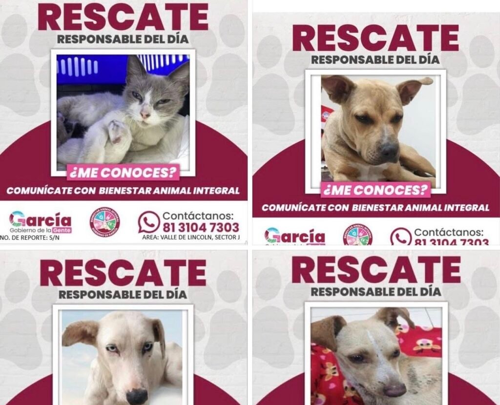 ae9cd7bb-9e50-4a5f-bdec-eb514cede289