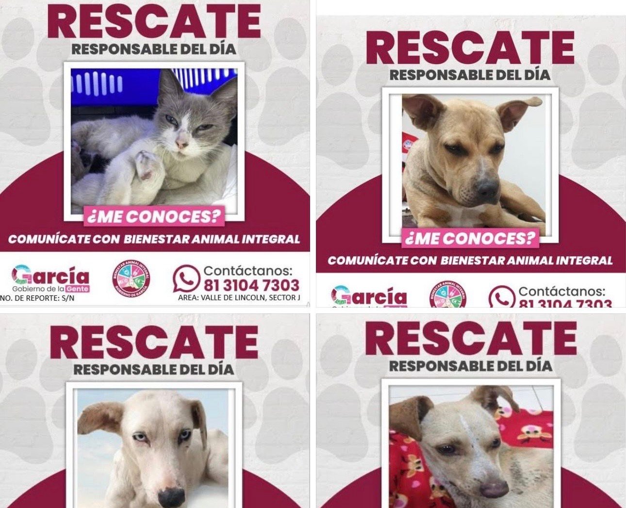 ae9cd7bb-9e50-4a5f-bdec-eb514cede289