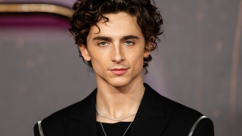 Crítica de Timothée Chalamet a la ópera dispara interés del público