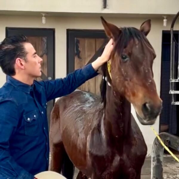 Impulsa Mike Flores rescate animal en Nuevo León