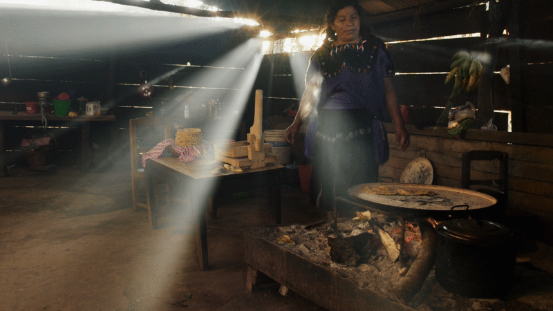 Cineteca Nuevo León proyectará “Li Cham”, documental sobre resistencia de mujeres tsotsiles