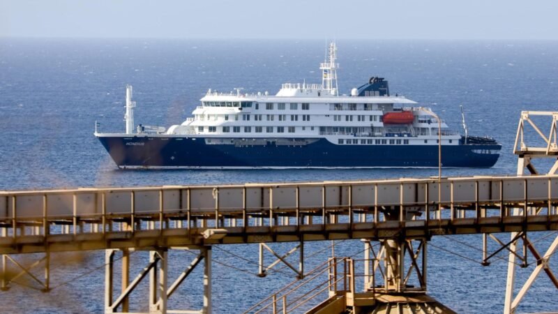 Investiga OMS brote de hantavirus en crucero