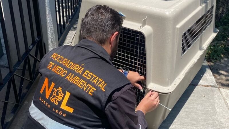 Rescatan animales por maltrato en Nuevo León