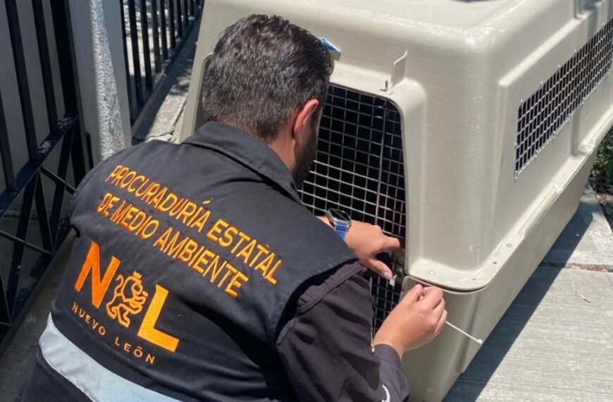 Rescatan animales por maltrato en Nuevo León