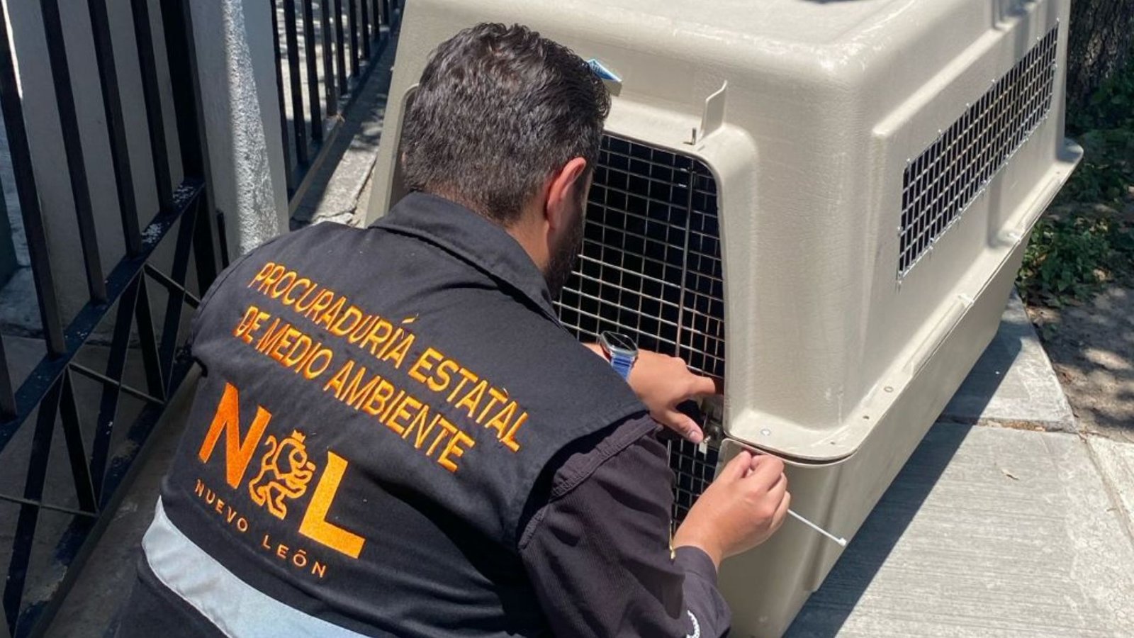 Rescatan animales por maltrato en Nuevo León