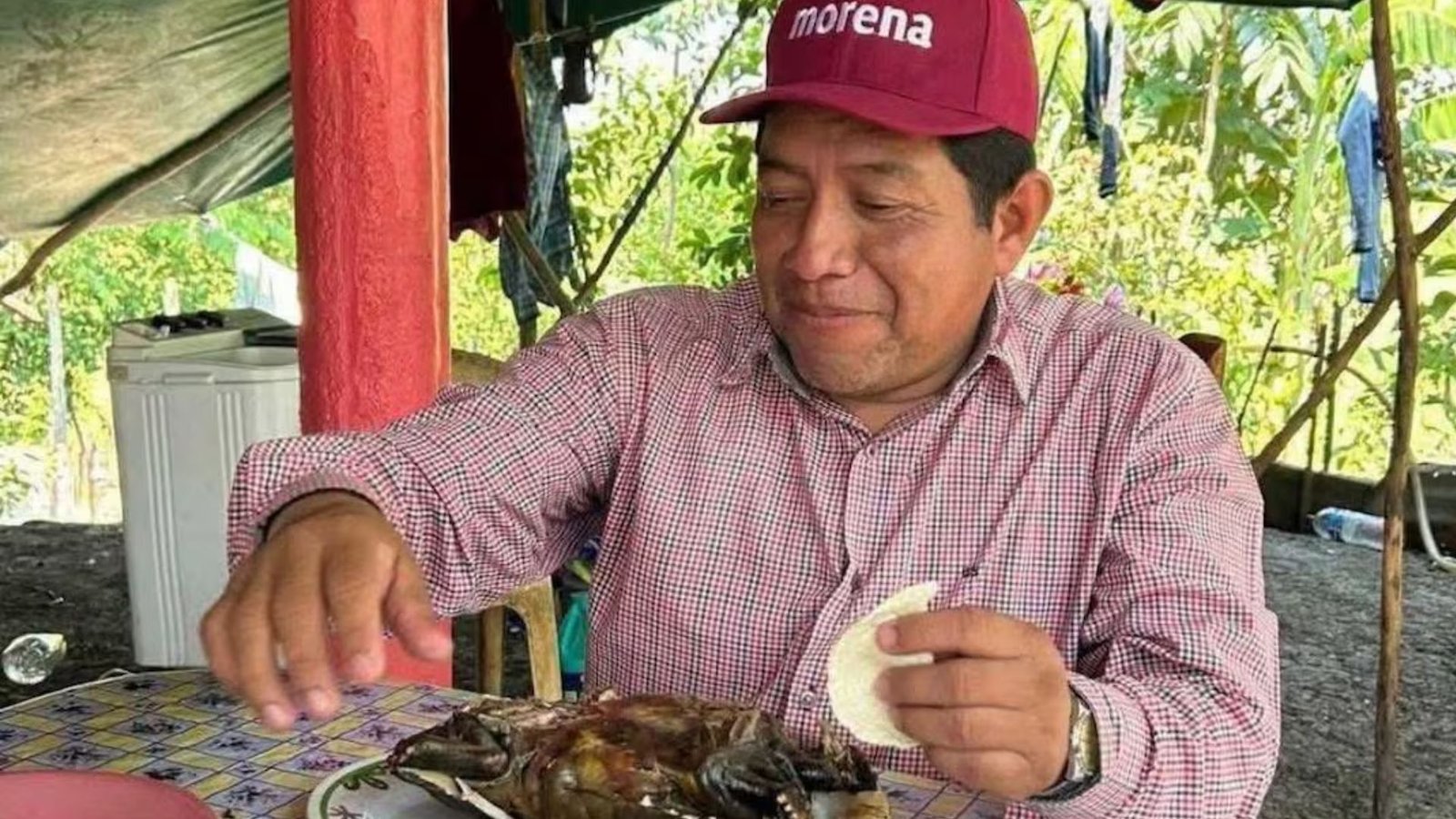 Profepa investiga a dirigente de Morena por consumo de tortuga protegida