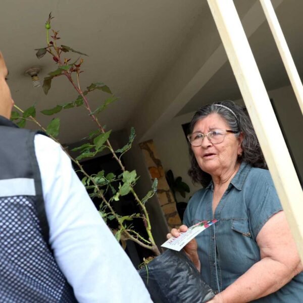Entrega San Nicolás 125 mil rosales por Día de las Madres