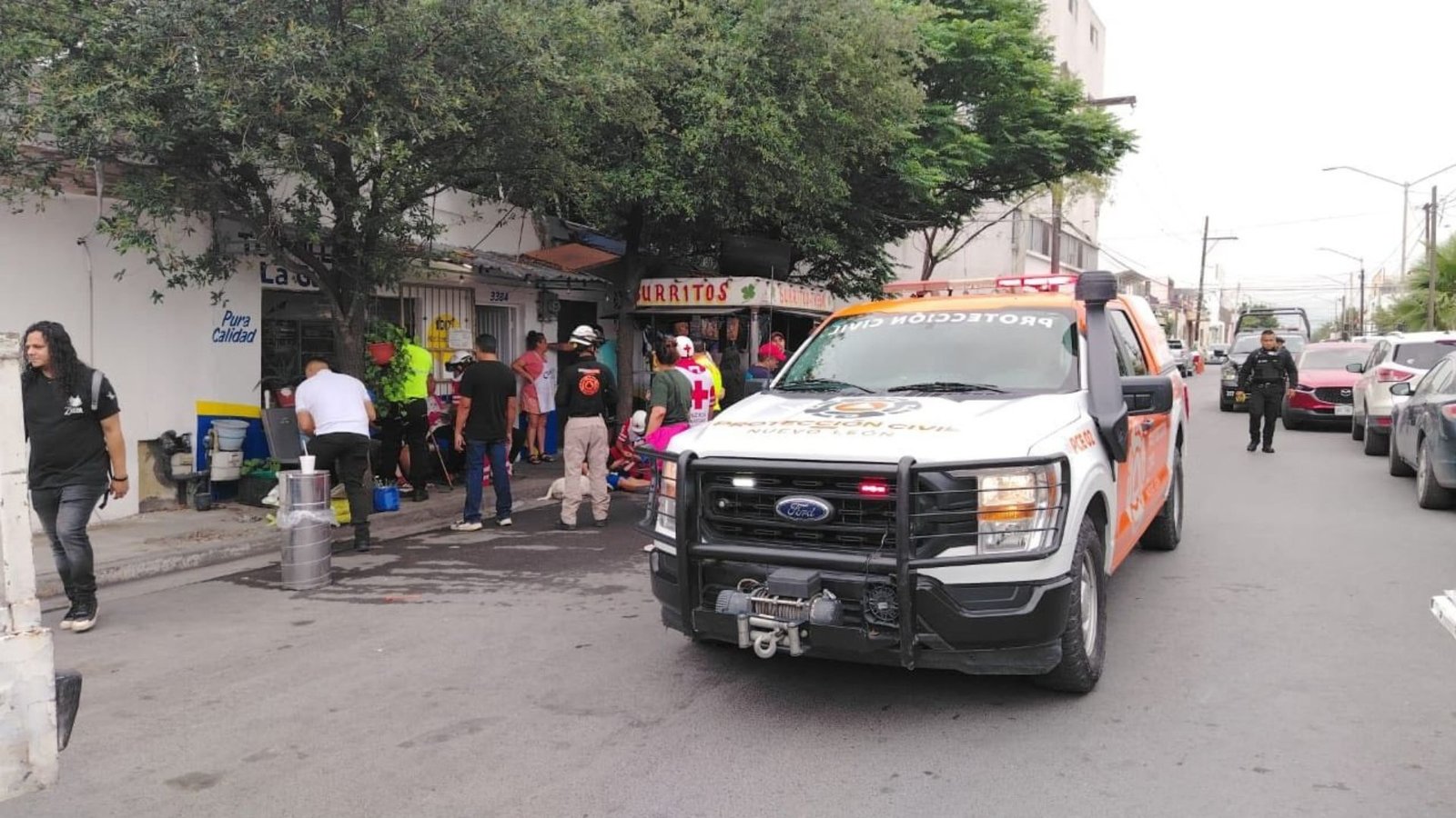 Ataque de abejas deja lesionados en Monterrey