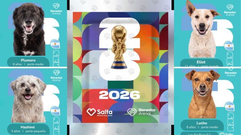 Campaña de adopción con estampas del Mundial 2026 se vuelve viral