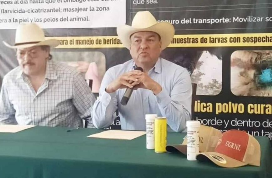 Suben contagios de gusano barrenador en Nuevo León