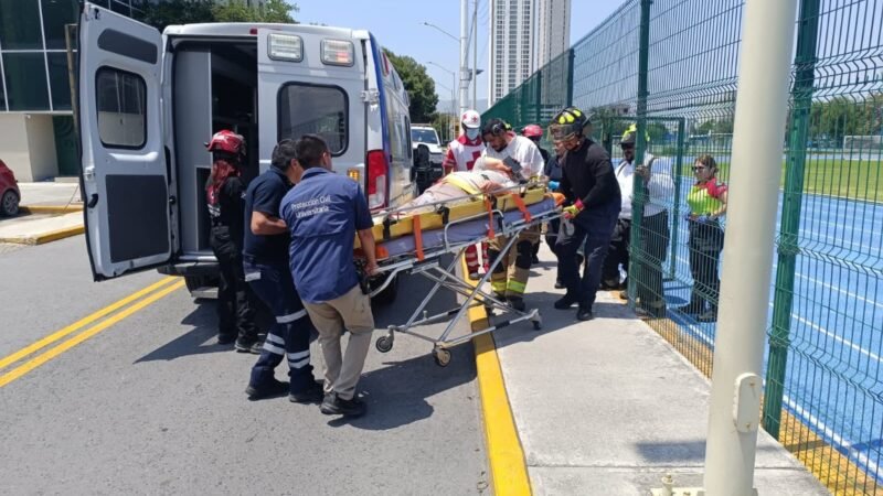 Ataque de abejas deja un muerto y dos lesionados en Santiago
