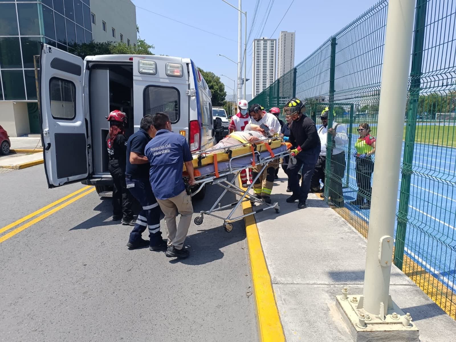Ataque de abejas deja un muerto y dos lesionados en Santiago