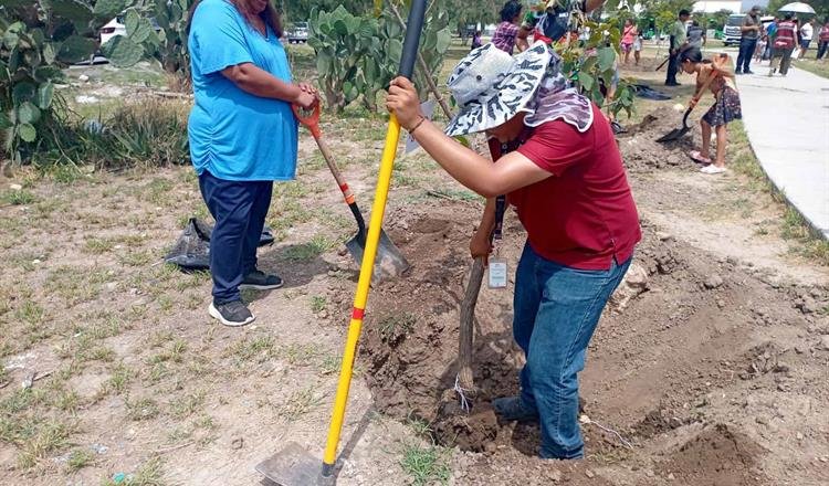 Impulsan reforestación en Escobedo con programa de adopción de árboles