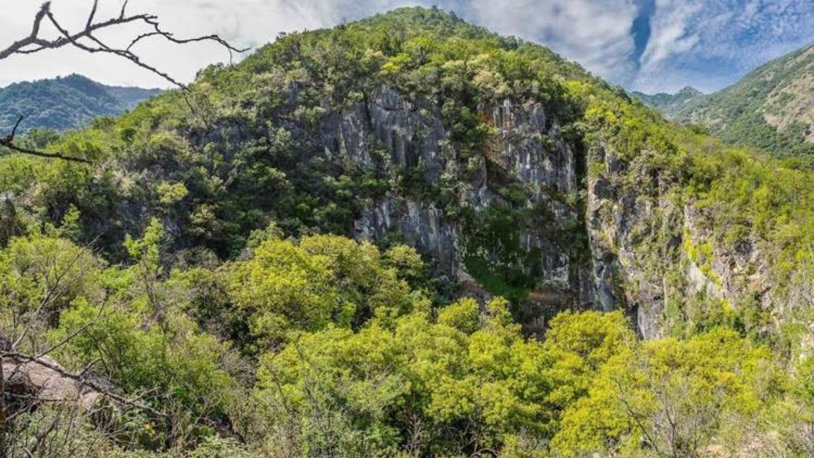 Refuerzan protección ambiental en Sierra de Picachos