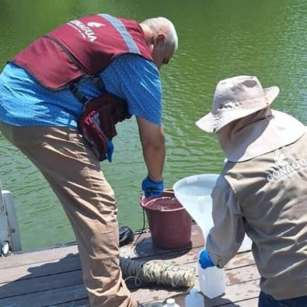 Conagua investiga maleza acuática en La Boca