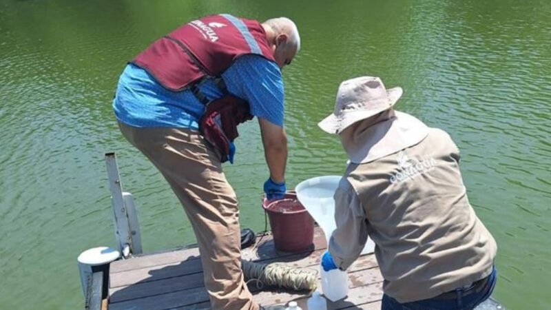 Conagua investiga maleza acuática en La Boca