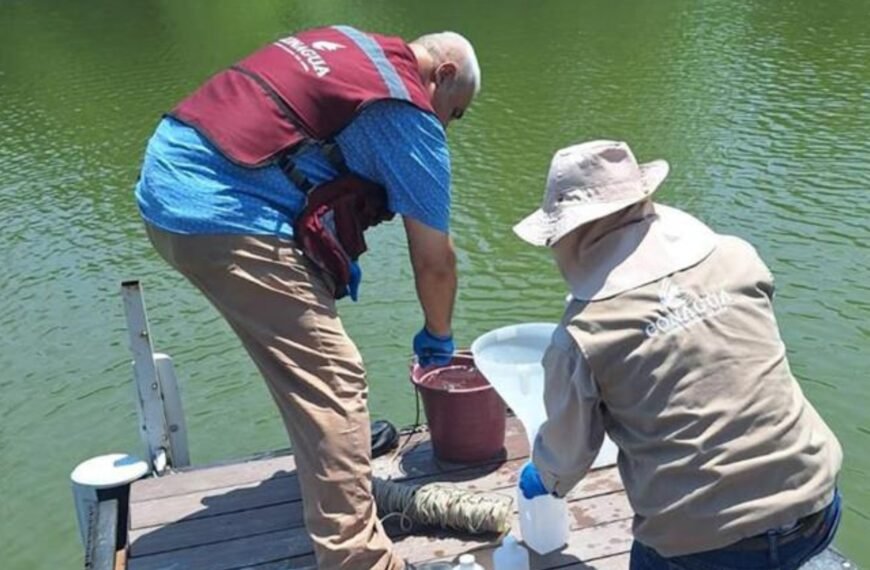 Conagua investiga maleza acuática en La Boca