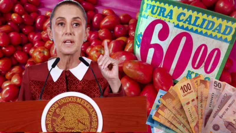 Sheinbaum busca bajar el precio del jitomate
