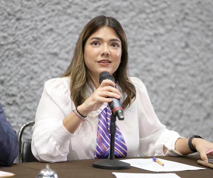 Busca Congreso frenar reconocimiento de Carlín en Tesorería